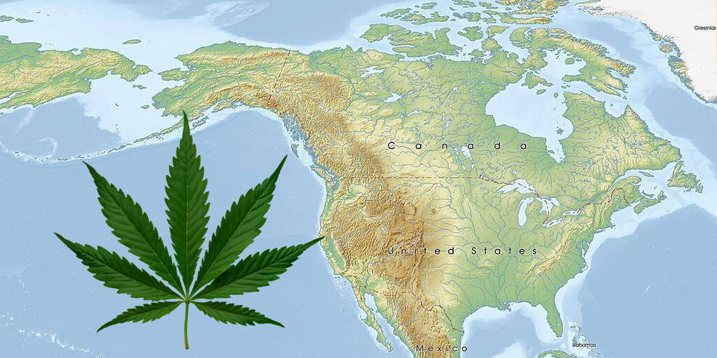 cannabis-in-north-america cannabis in north america