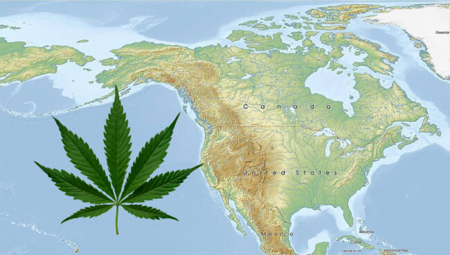 cannabis-in-north-america cannabis in north america