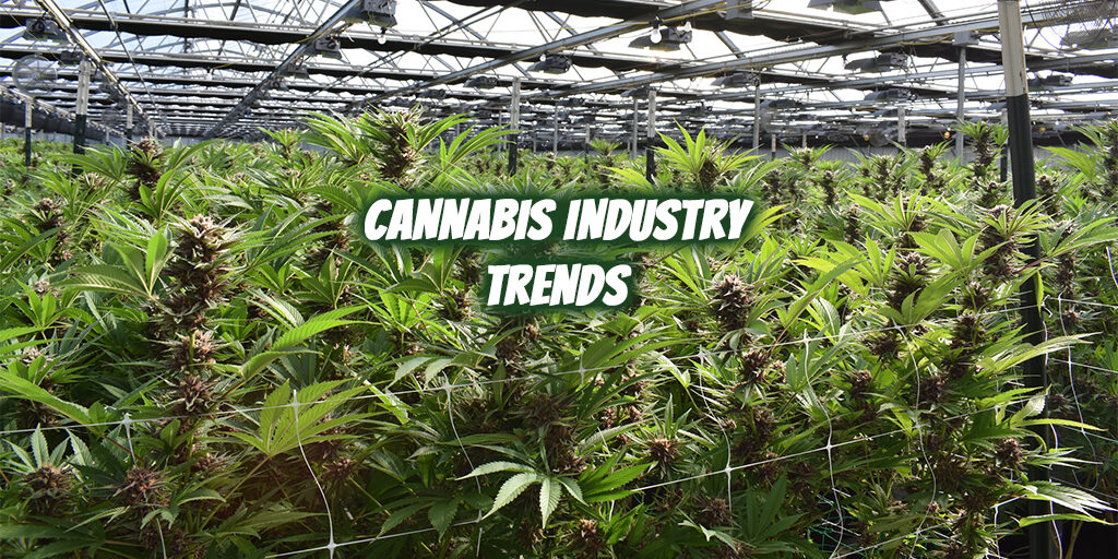 cannabis-industry-trends cannabis industry trends
