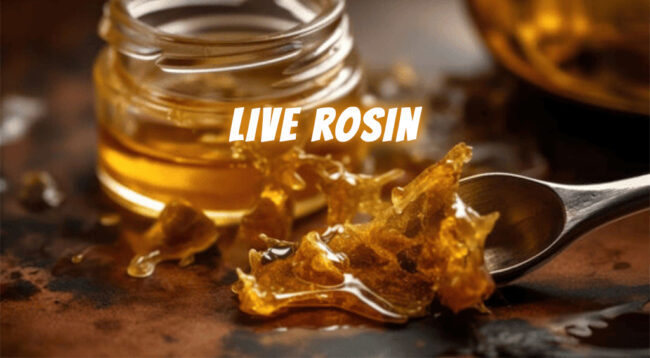 live-rosin live rosin