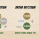 Full Spectrum vs Broad Spectrum vs Isolate
