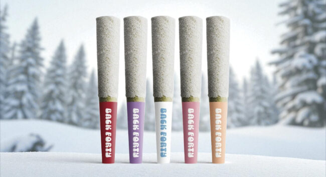 back forty cannabis pre-rolls
