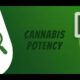 cannabis potency