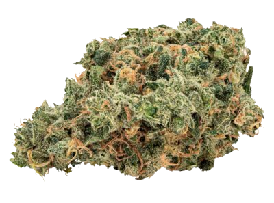 broken coast la bomba cannabis bud