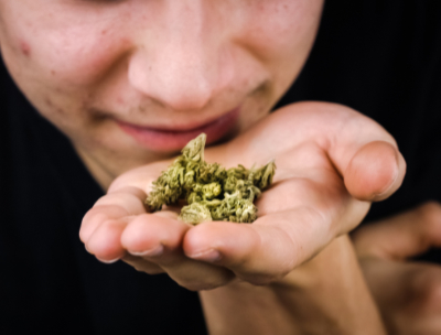 person smelling cannabis bud