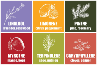 terpenes