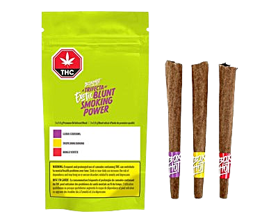 boxhot trifecta blunts