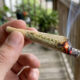 cannabis joint canoeing