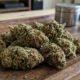 cannabis buds on a table